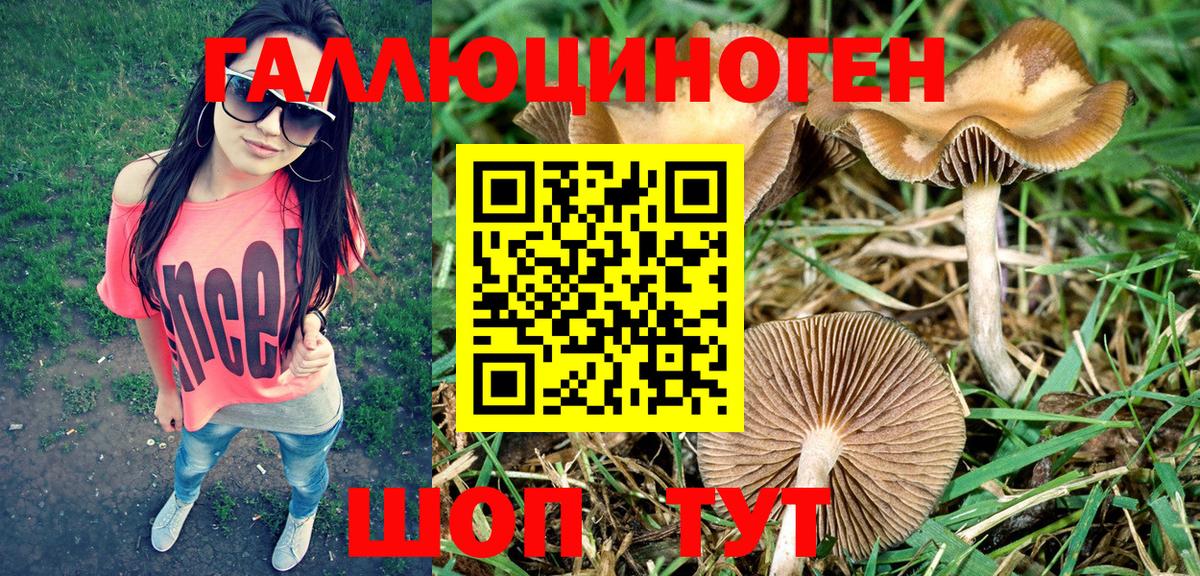 Псилоцибиновые грибы мухоморы  Псилоцибиновые грибы Psilocybine cubensis  Вход с VPN  где продают наркотики  Сердобск 